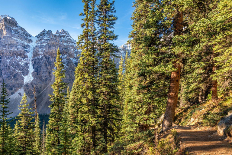 Banff/Canmore: Larch Valley och Moraine Lake