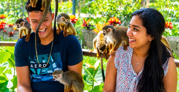 Punta Cana: Monkeyland & ATV Tour with PickUp