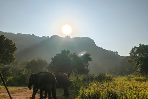 Hurulu Eco Park Private Jeep Safari & Scenic Lake view Hurulu Eco Park Private Safari - No Entry Fees Included