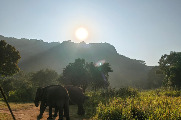 Hurulu Eco Park Private Jeep Safari & Scenic Lake view Hurulu Eco Park Private Safari - Entry Fees Included
