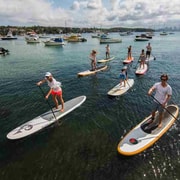 Sydney: Stand Up Paddling & Swim Experience in Watsons Bay