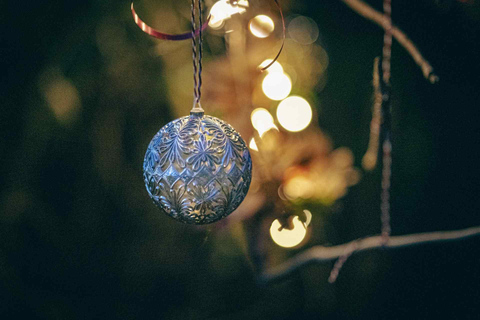 Starting from Colmar: a nature walk and a visit to the Christmas market Starting from Colmar: nature walk and Christmas market visit