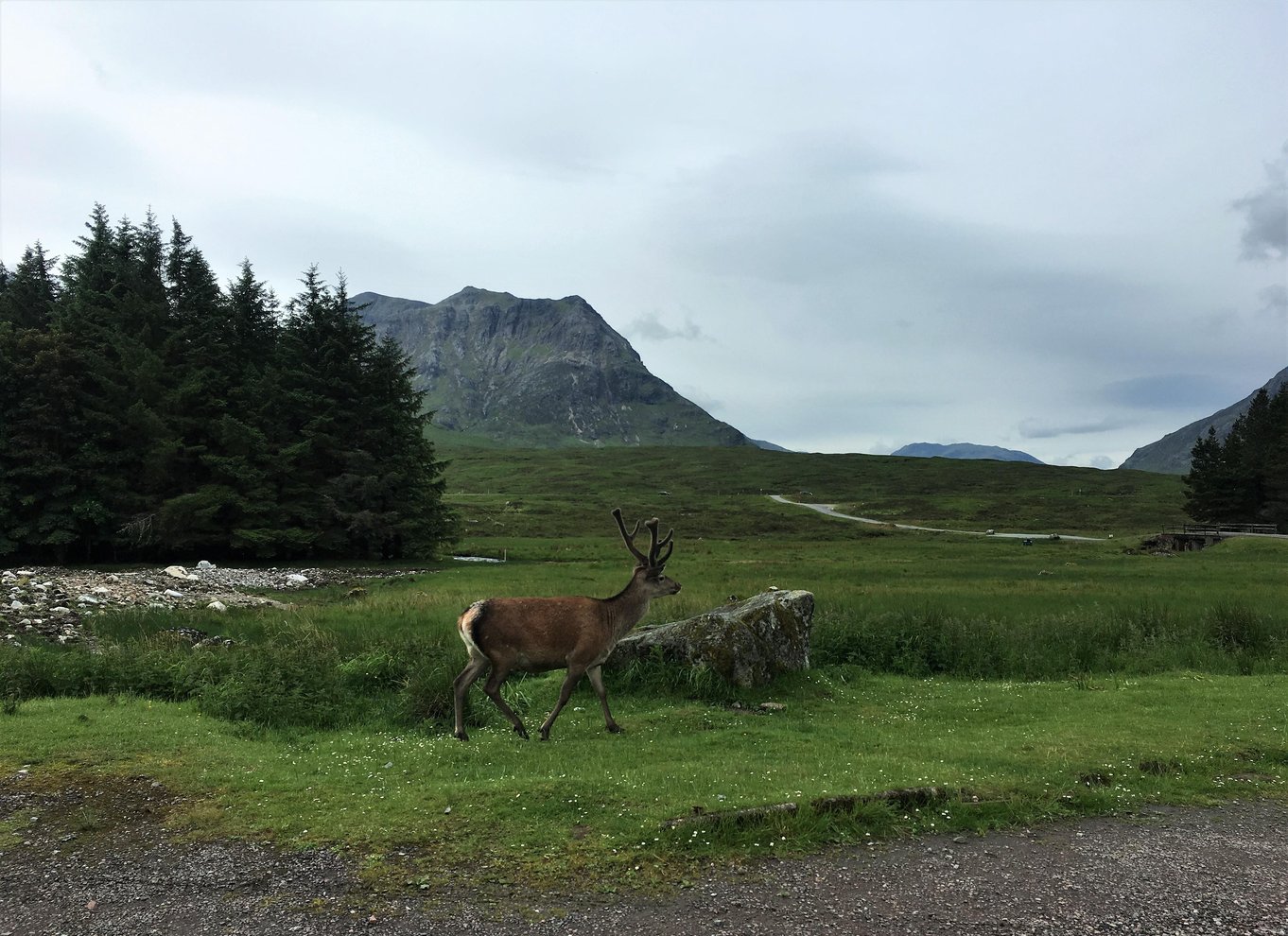 Glasgow: Glencoe, naturskøn byvandring og tur i det skotske højland