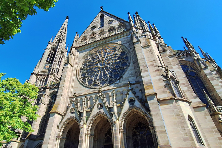 From Heidelberg: Rhine Cruise, Imperial Cathedral & Pretzel - Experience Speyer! Speyer: Public Group Tour