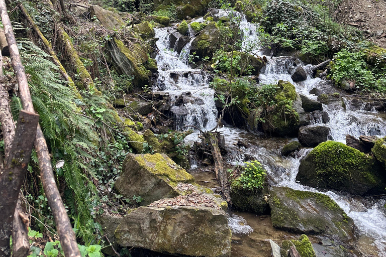 Skopje: 8 Waterfalls Day Hike, Šar Mountains, Kamenjane