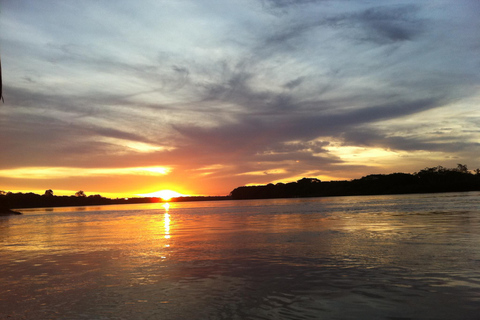 Puerto Maldonado || Obserwacja papug i łowienie piranii