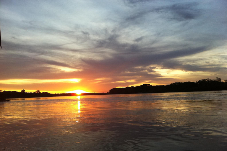 Puerto Maldonado || Obserwacja papug i łowienie piranii