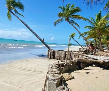 Maceió: Passeio Praia de Ipioca (Hibiscus Beach Club)
