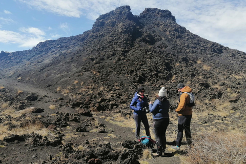 Senderismo en familia por el Etna. Tarifa de grupo hasta 20 personas