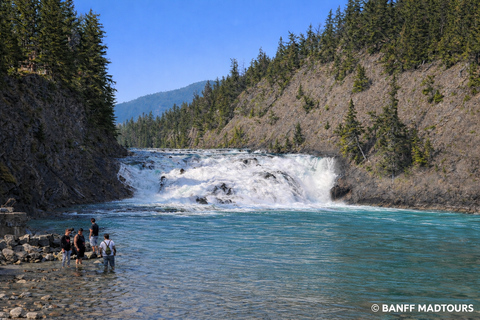 Banff: Lake Louise, Moraine Lake, Johnston, Banff Photo Tour
