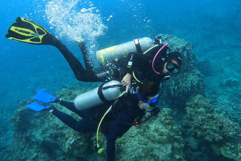 Isla de Pascua: Buceo recreativo-turístico personalizado