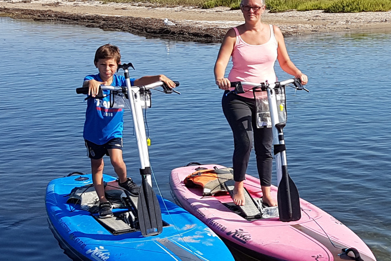 Gruissan: noleggio di aquastepper (un mix di paddle e stepper)Gruissan: noleggio di aquastepper (un mix tra paddle e stepper)