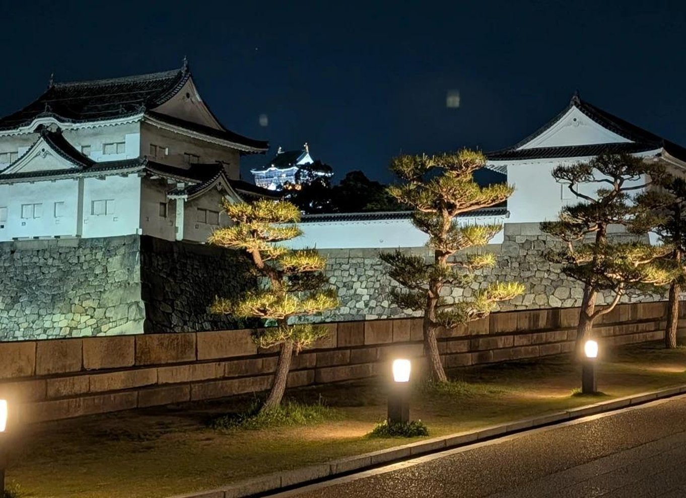Osaka: Entré til slotstårnet / guidet byvandring