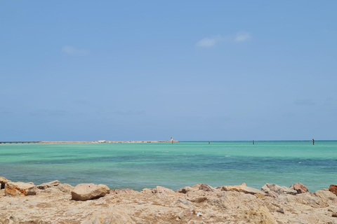 Djerba: visita guiada de scooter por Guellala e AghirDjerba: Visita guiada de scooter a Guellala e Aghir