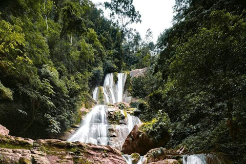 Perené Maravillas Naturales - Sumérgete en la biodiversidad amazónica