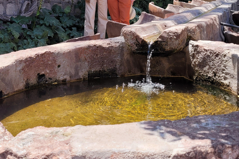 Arequipa: City Tour and a visit to the Monastery of Santa Catalina Arequipa: City Tour and Visit to the Santa Catalina Monastery