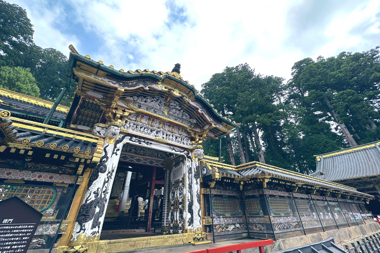 Excursion d&#039;une journée dans la ville de Nikko en voiture privée ou en van