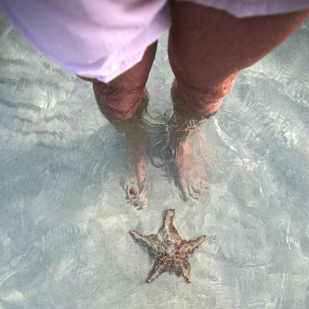 Cayman: Starfish Point, Stingray City and Coral Gardens