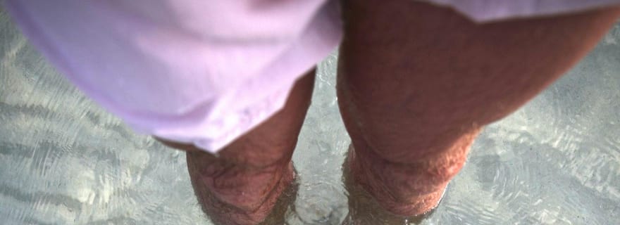 Caïmans : Starfish Point, Stingray City et Coral Gardens