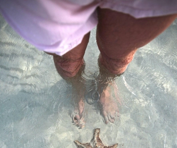 Caimão: Starfish Point, Stingray City e Coral Gardens