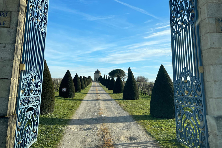 From Bordeaux Half-Day in Saint-Emilion or Arcachon in a Private Van Saint-Emilion Tour