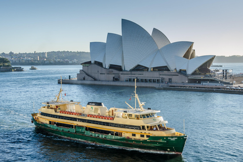 Blue Mountains Tour w/Lunch: Scenic World, Zoo & Koala Photo