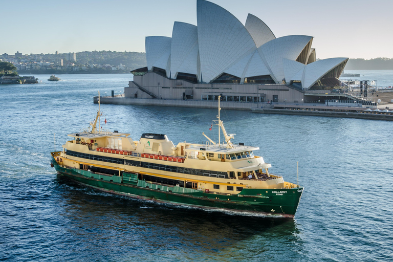 Blue Mountains Tour w/Lunch: Scenic World, Zoo & Koala Photo
