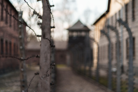 From Krakow: Auschwitz &amp; Birkenau Guided Tour with LunchBoxGuided Tour with Transportation from Meeting Point