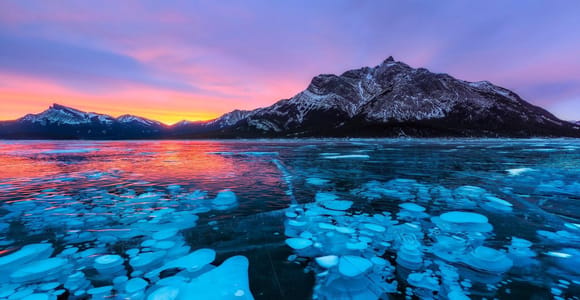 Abraham Lake/ Sunwapta & Athabasca Falls, Peyto, Bow Lake