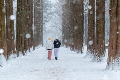 Von Seoul aus: Nami Island, Koreanischer Garten und Tagestour mit der Bahn