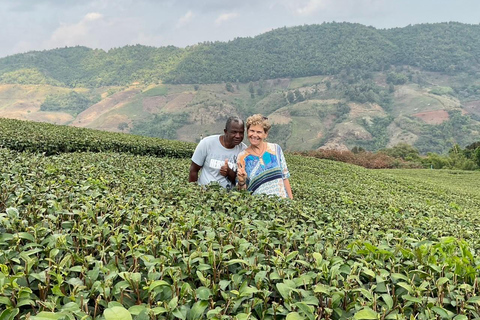 Chiang Rai: Mountains Discovery Doi Mae Salong & Doi Tung Mountains Discovery:Doi Mae Salong & Doi Tung (Private Tour)