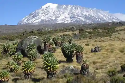 Experimenta o nosso Top Best Kilimanjaro Day Hiking Machame Route