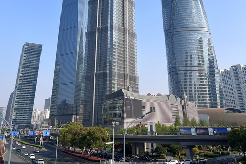 Shanghai: tour privato personalizzabile di 4 ore dei luoghi più importantiShanghai: tour di 4 ore con guida privata e macchina privata