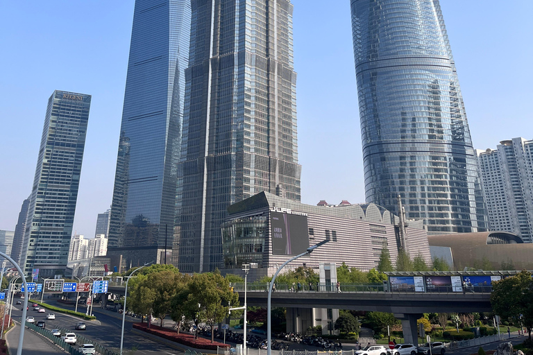 Shanghai: tour privato personalizzabile di 4 ore dei luoghi più importantiShanghai: tour di 4 ore con guida privata e macchina privata