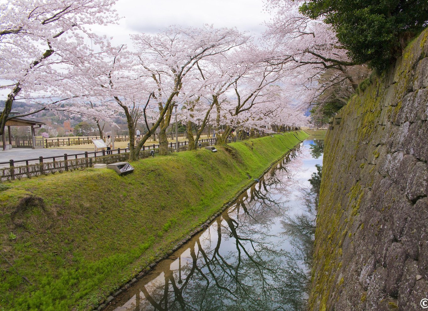 Guidet E-Bike og byvandring i KANAZAWA Main & KENROKUEN