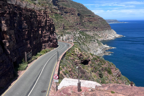 Cape of Good Hope and Penguins Full-Day Private Tour Private tour: Cape of Good Hope and Penguins Full-Day Tour