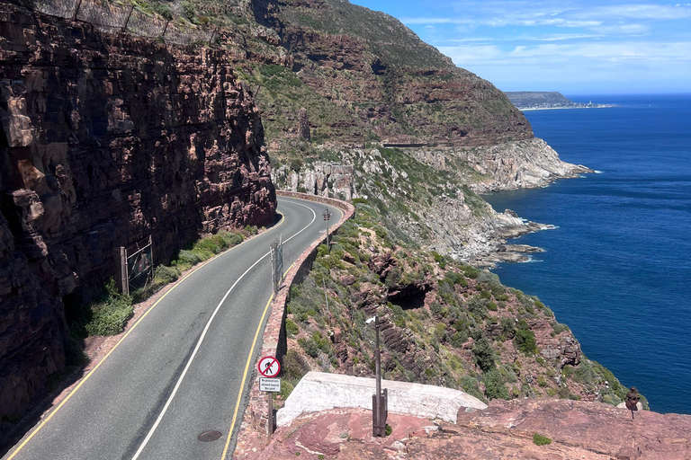 Cape of Good Hope and Penguins Full-Day Private Tour Private tour: Cape of Good Hope and Penguins Full-Day Tour