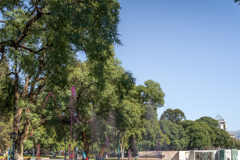 Mendoza: Walking & Wine Tour with Tastings & San Martin Park