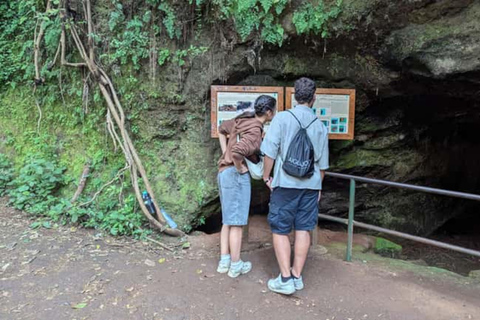 Nairobi: Karura Forest & Waterfall Guided Nature Excursion.