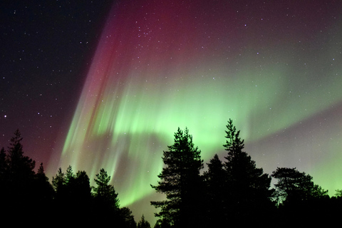 Saariselkä: Aurora Hunting Tour with Northern Lights Experts