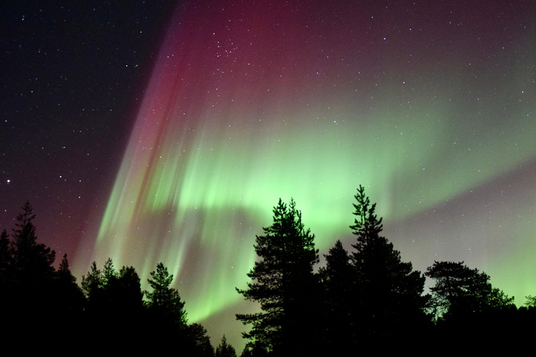 Saariselkä: Aurora Hunting Tour with Northern Lights Experts