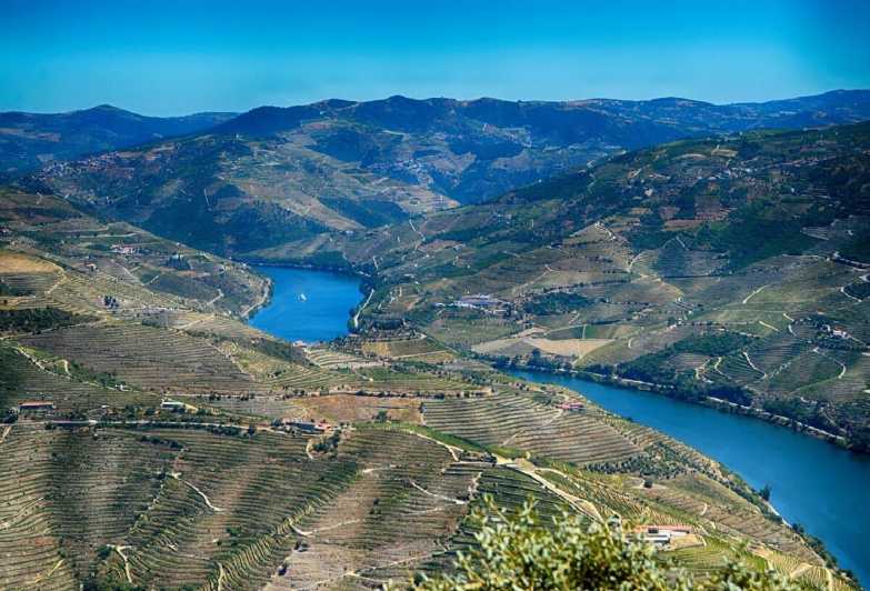 Porto: Douro Valley Tour with Cruise, Lunch & Wine Tasting