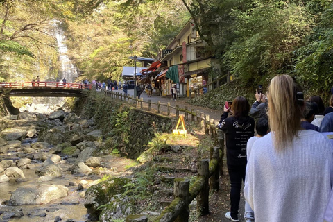 Marche dans la forêt de Mino à Osaka et chute d&#039;eau géante avec déjeuner local