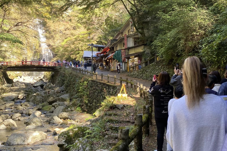 Marche dans la forêt de Mino à Osaka et chute d&#039;eau géante avec déjeuner local