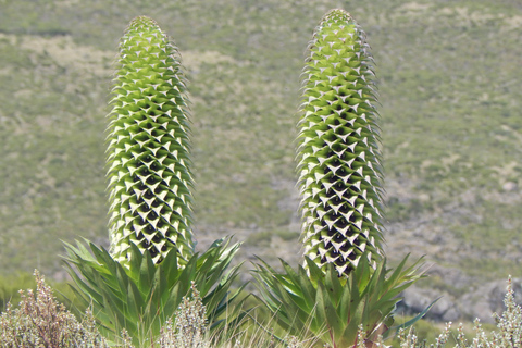 9-Days Mount Kenya and Samburu Safari