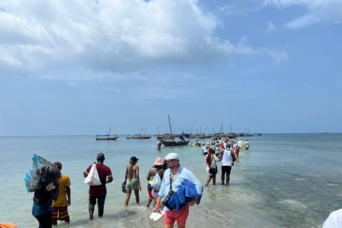 Group Tour Zanzibar: Safari Blue Snorkeling Trip with Lunch