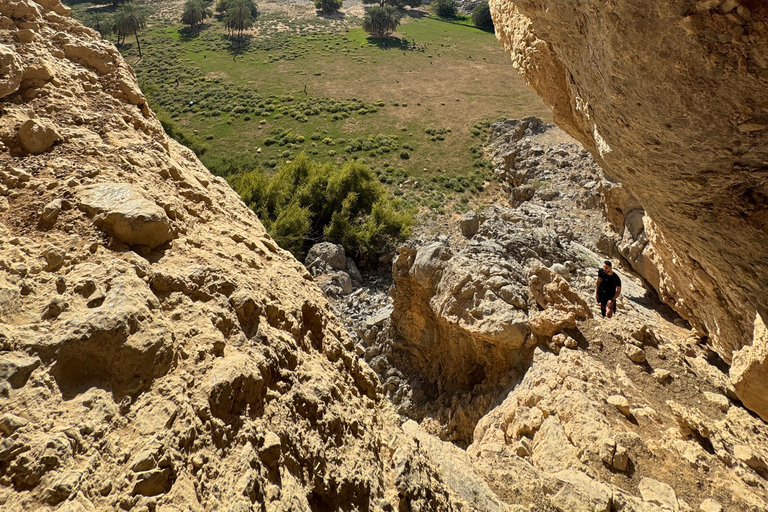Dubaï : randonnée modérée sur le sentier de l&#039;oasis cachée de Jebel JaisDubaï : Randonnée modérée sur le sentier de l&#039;oasis cachée de Jebel Jais