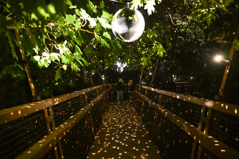 Porto: Serralves Em Luz Immersive Light Show Entry Ticket