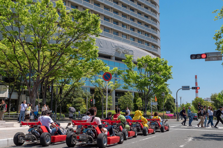 Tour di Shibuya Go Karting con costume divertente