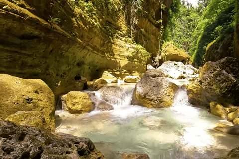 Cebu : Excursion en groupe à Oslob Whaleshark et Canyoneering avec déjeuner